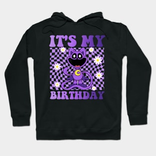 Funny Its My Birthday Hoodie